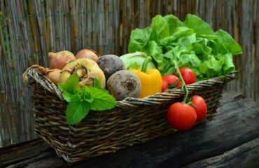 Légumes de saison - récolte