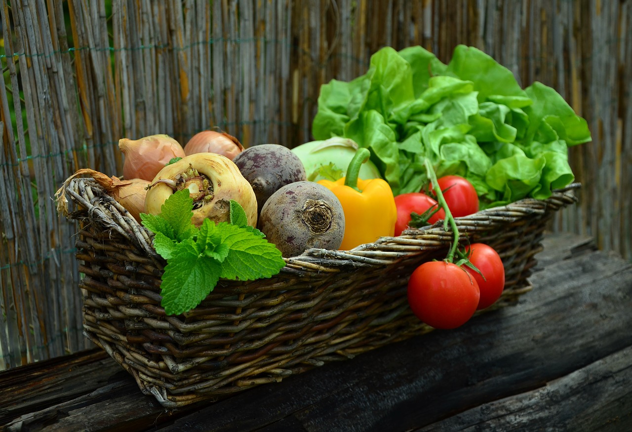 Légumes de saison - récolte